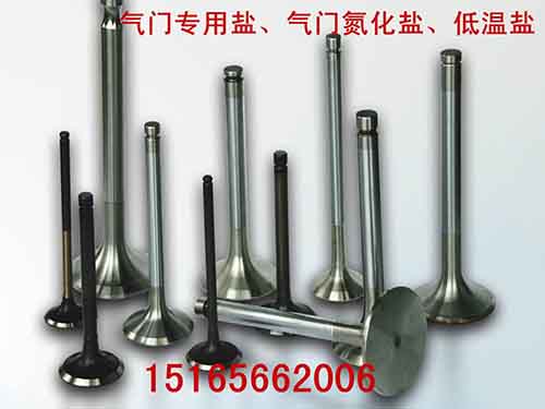 氮化汽車(chē)氣門(mén).jpg