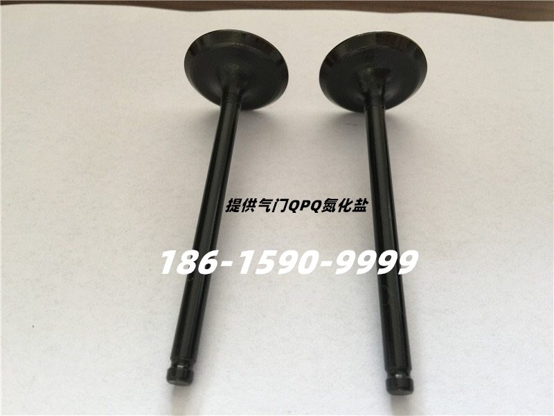 QPQ處理汽車氣門.jpg